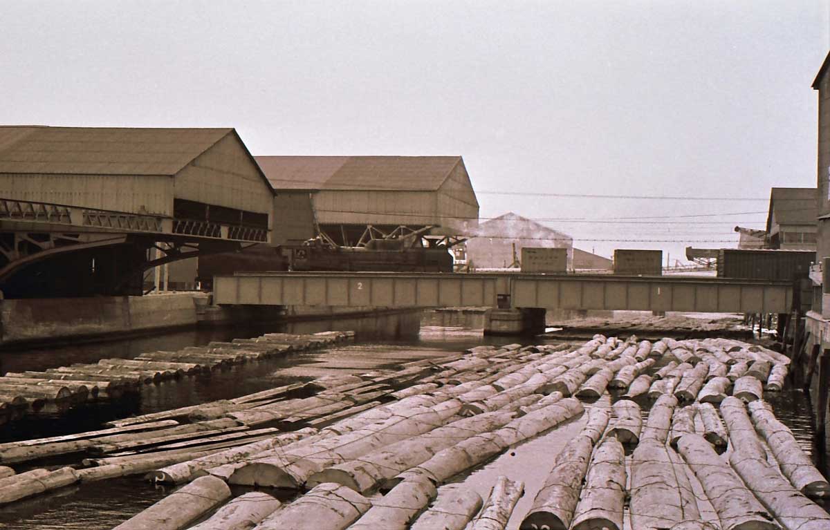 「木材問屋街の貯木場」川面に多くの丸太が浮かべられた東京・深川の様子：イメージ