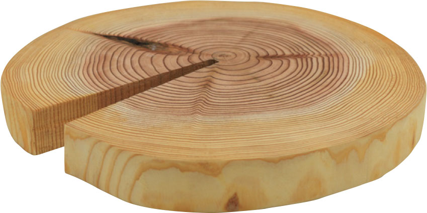 丸太の輪切り（鍋敷き） | 製品詳細 | 多摩産材・国産木材製品紹介サイト
